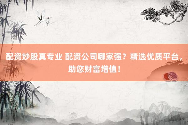 配资炒股真专业 配资公司哪家强？精选优质平台，助您财富增值！