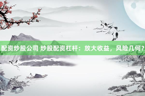配资炒股公司 炒股配资杠杆：放大收益，风险几何？