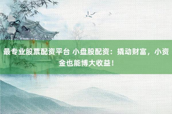 最专业股票配资平台 小盘股配资：撬动财富，小资金也能博大收益！