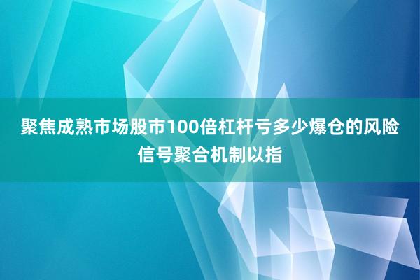 聚焦成熟市场股市100倍杠杆亏多少爆仓的风险信号聚合机制以指
