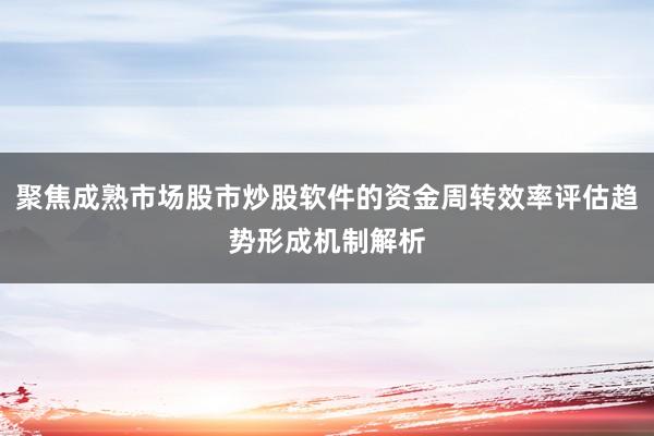 聚焦成熟市场股市炒股软件的资金周转效率评估趋势形成机制解析