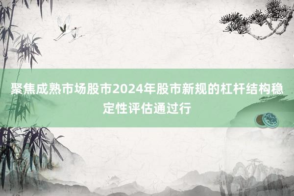聚焦成熟市场股市2024年股市新规的杠杆结构稳定性评估通过行