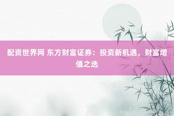 配资世界网 东方财富证券：投资新机遇，财富增值之选